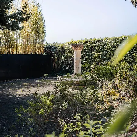Du Cote Des Olivades Paradou